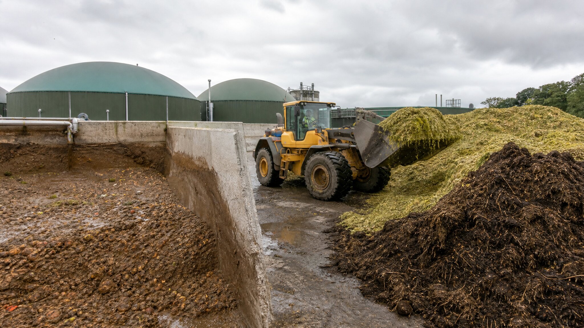 Loading shovel working food waste and agricultural feedstock at an AD plant reception yard